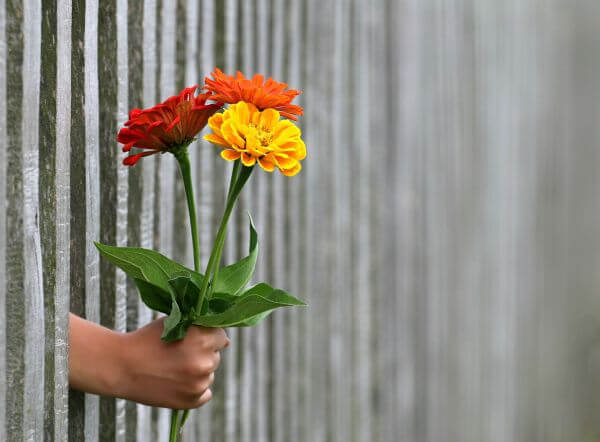 Jaké je datum letošního Valentýna?